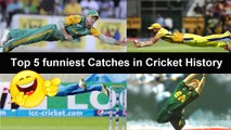 Top 5 Funny Catches In Cricket History Ever HD ● Funny Cricket Moments ●