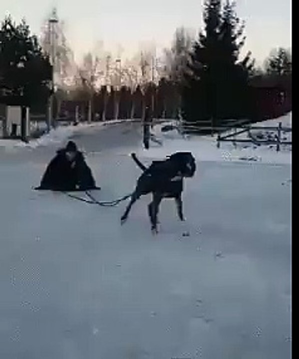 قوية  هههههههههههههههههههه