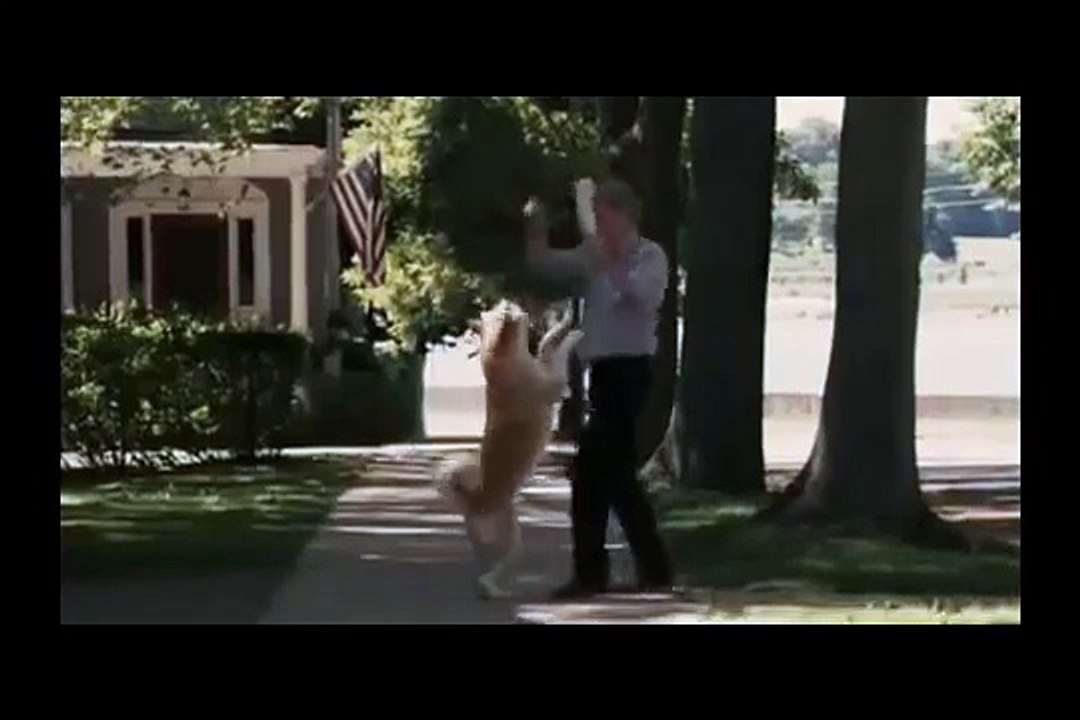 film: Hachi: A dog's tale (2009)