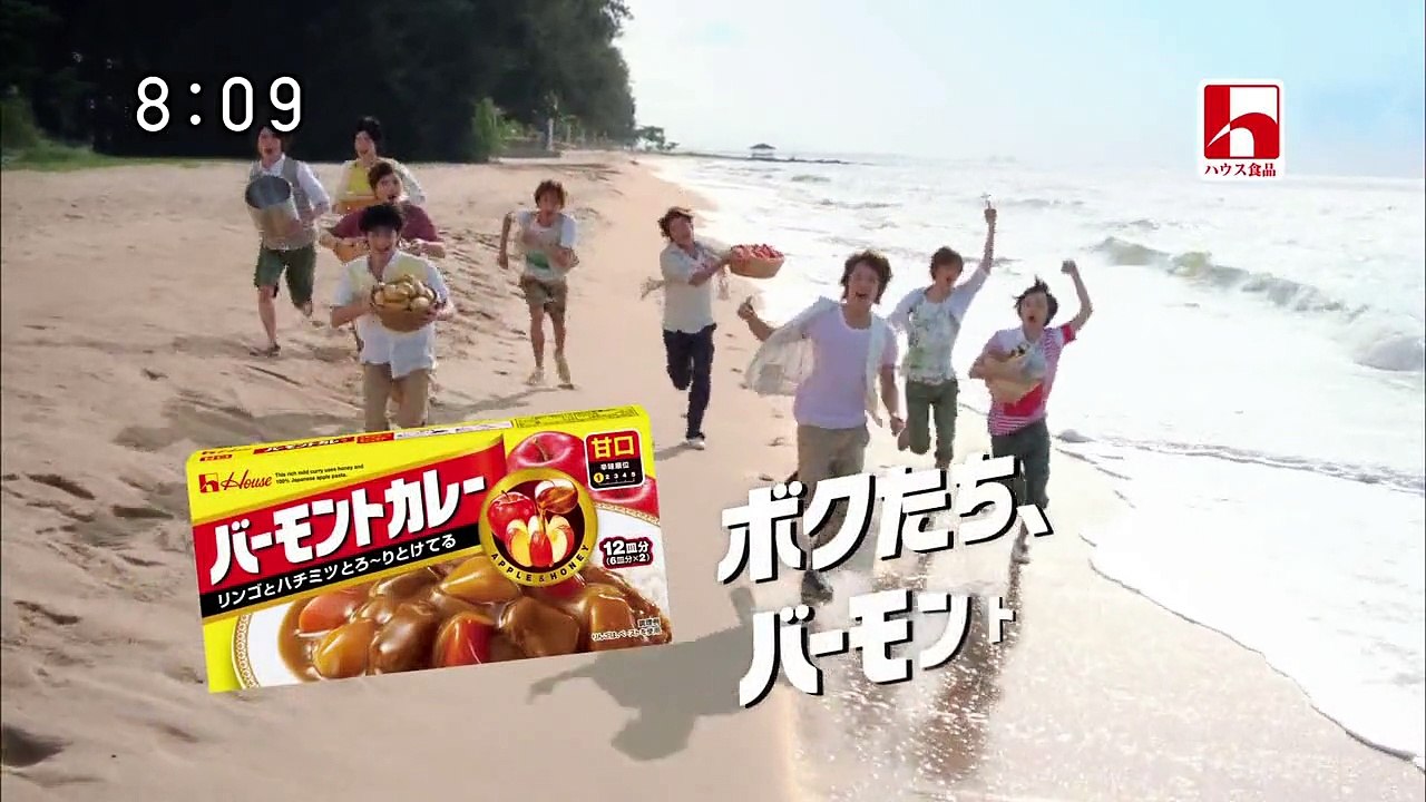 HSJーCM
