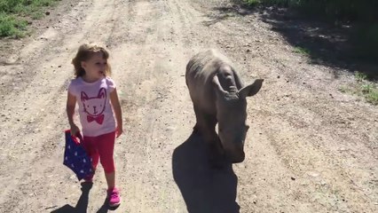 Une petite fille se balade avec un bébé rhinocéros