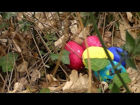 Chasse aux Oeufs du Secours populaire de la Gironde à Gradignan