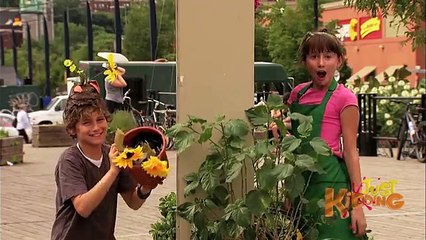 Kid Smashed On Head With Flower Pot CAUGHT ON CAMERA! - Just Kidding