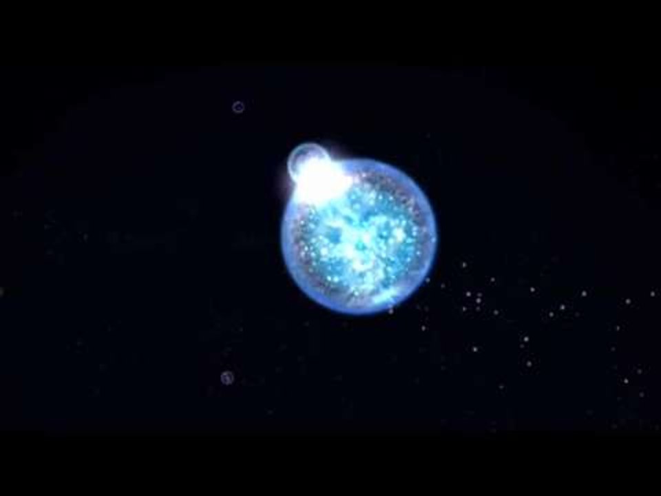 Osmos - Trailer