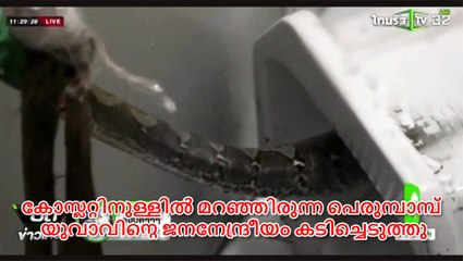 Bloody battle follows as toilet snake BITES man