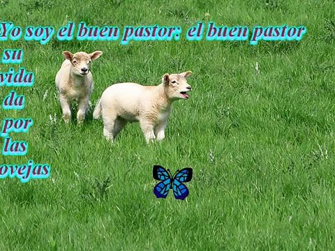 Palabras De Dios Antigo Testamento En Audio Salmos 27 and 28