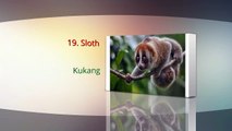 Learn Indonesian Vocabulary with Pictures-Animal Part 4/6