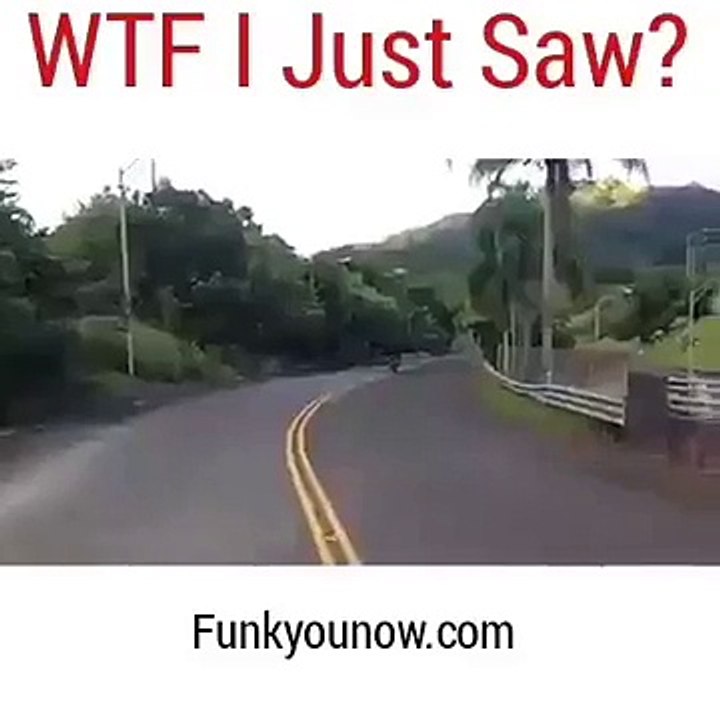 wtf is this....