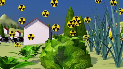 Radioactive contamination