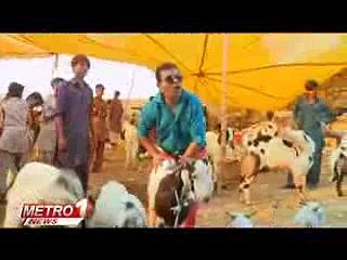 happy bakra eid song very funny