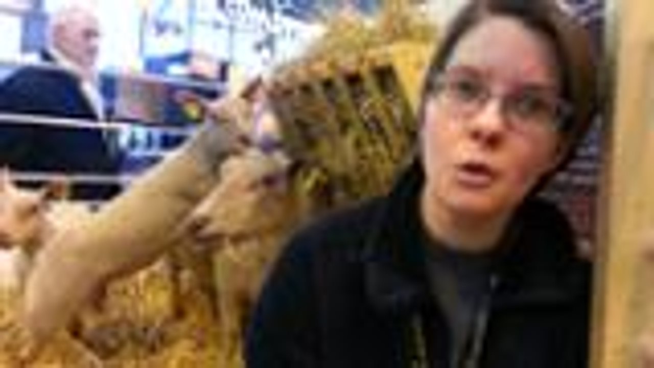 L'Agneau IGP Poitou-Charentes