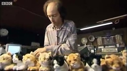 Il aligne 16 chats sur un piano et commence à jouer... la suite est à tomber !