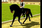 Sims Sport Stables