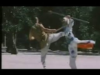 South Shaolin vs North Shaolin Trailer