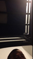 Minecraft song minecraft jams