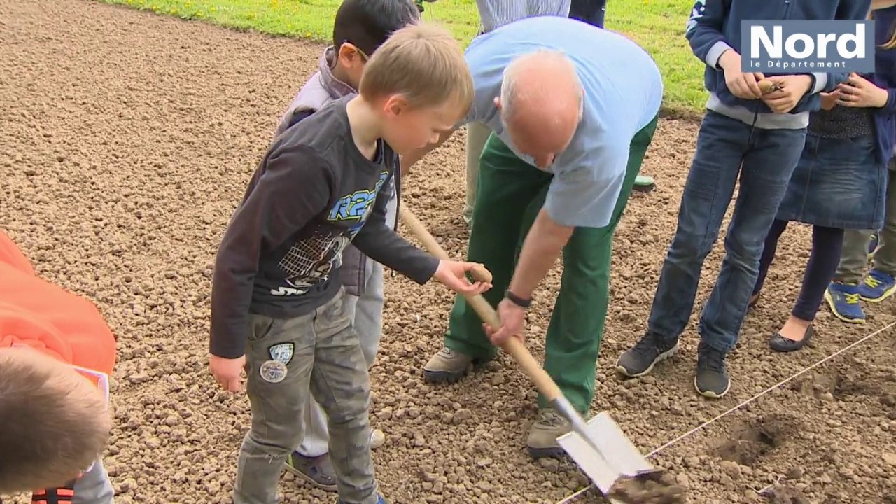 Création d'un jardin pédagogique