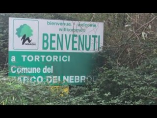 Tortorici (ME) - Truffa su finanziamenti agricoltura, blitz dei finanzieri ai Nebrodi (27.05.16)
