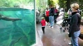 lovely race between fish and little kid coool