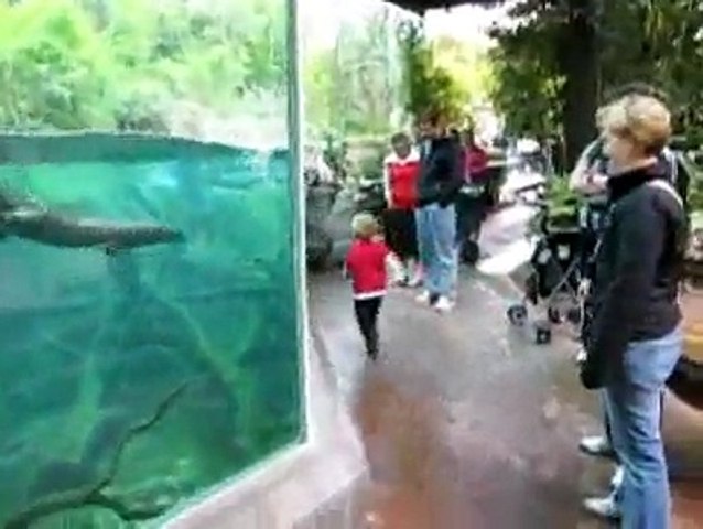 lovely race between fish and little kid coool