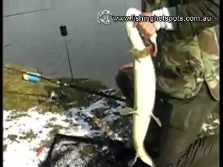 Pike Fishing with Mike Brown (Part 2 of 4)