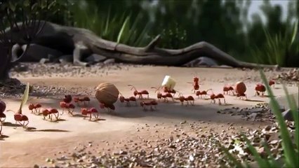 Sức Mạnh Của SỰ Đoàn Kết