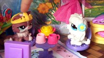 Minişler; Buçuk Doğum Günü || Minişler Cupcake Tv