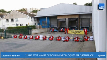 JOURNAL DE LA MER | les locaux de Petit Navire occupés par Greenpeace