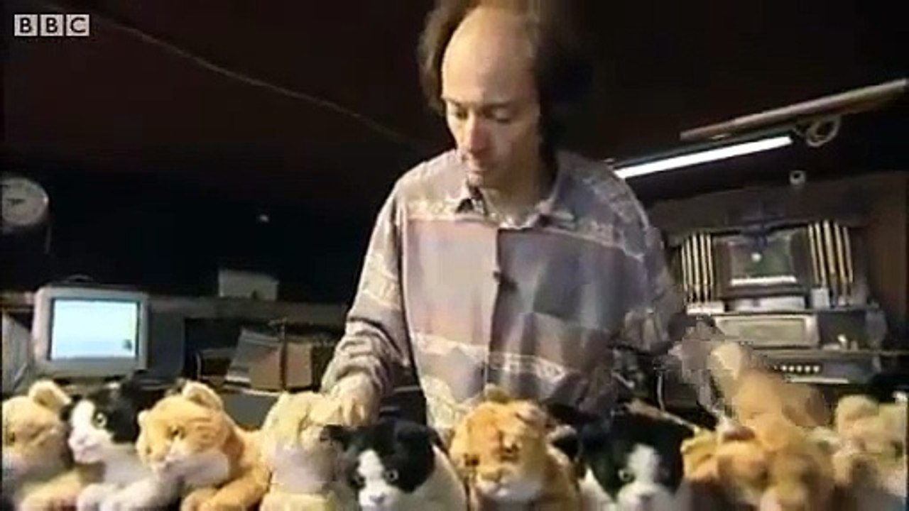 Ce musicien un peu fou joue sur des chats... Dingue