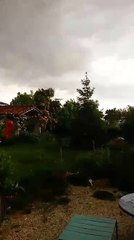 Gros coup de vent à Bourras