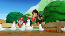 Movie 00 PAW Patrol HD S01E004 Pups Save the Circus Pup A Doodle Do HD 01.06.2016