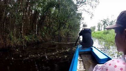 Ca Mau, Vietnam trip, U Minh forest part 2