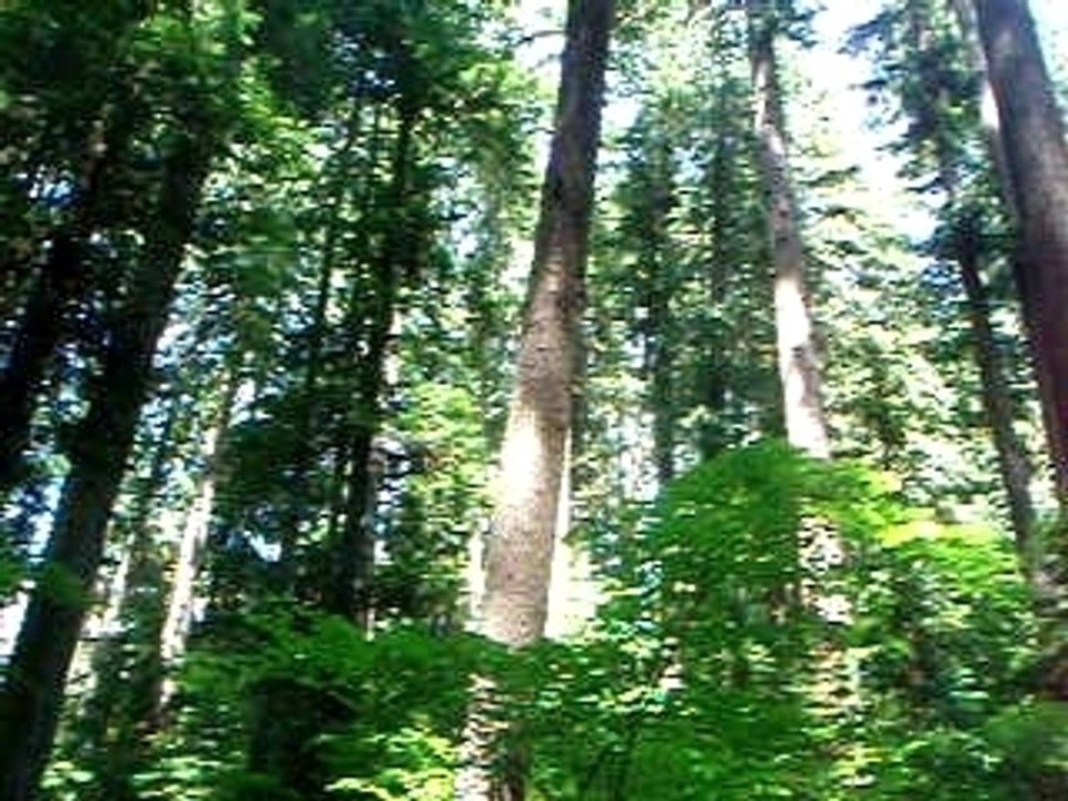 P7010069