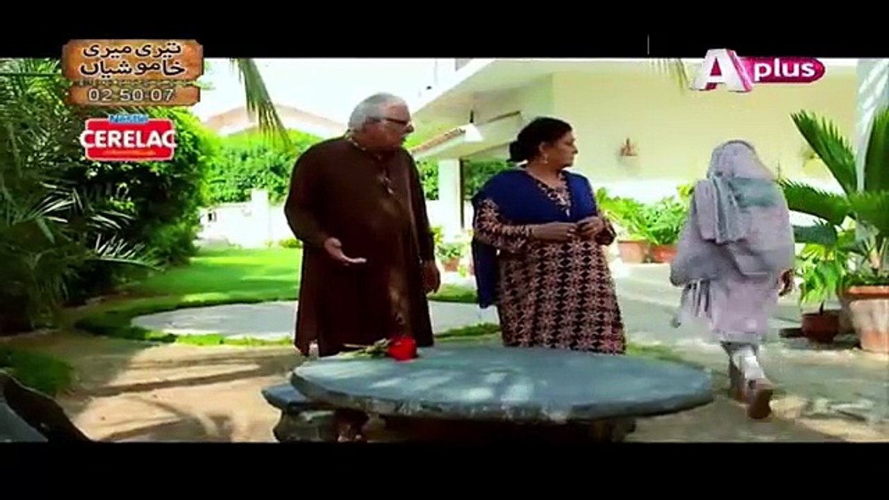 Bheegi Palkein Last Episode 29