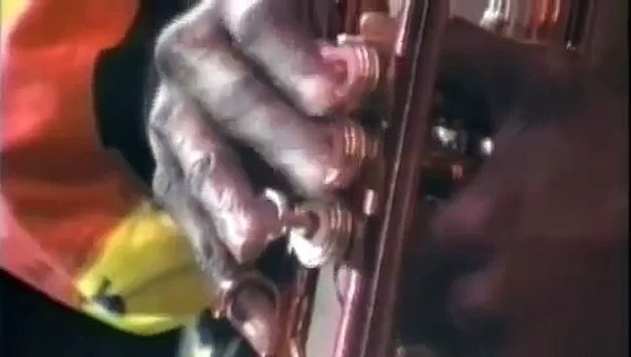 Miles Davis & Friends - Penetration ( Prince)