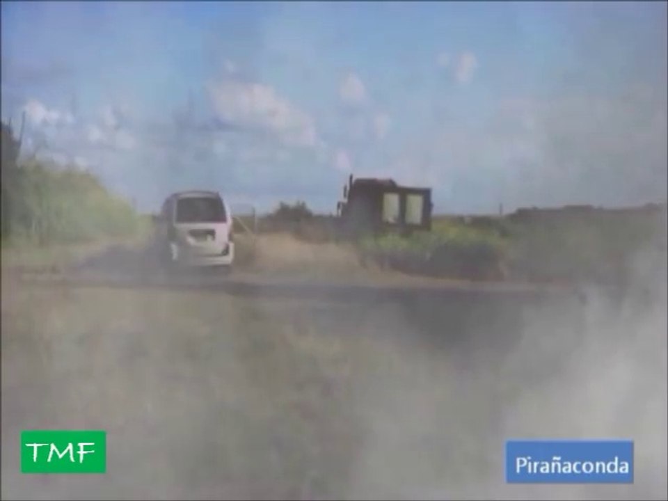 Pirañaconda