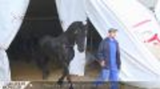 Bonjour Bonsoir : Les coulisses du cirque Gruss