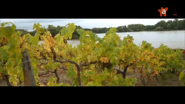 ACCES RESERVE 2015 [S.2015] [E.48] - Accès réservé du 27 novembre 2015 : le CHU d'Angers