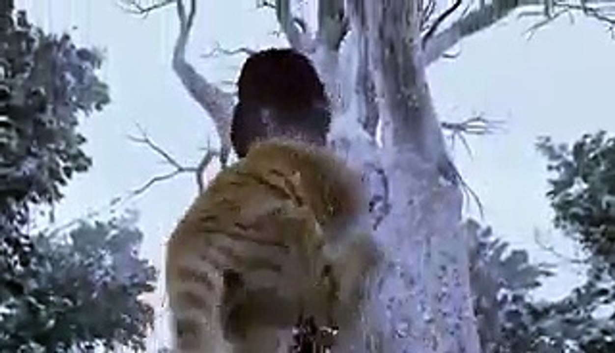 tiger vs man very interesting