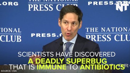 Scientists Discover Superbug That's Immune To Antibiotics