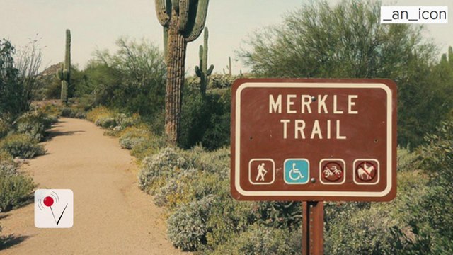 Hiker in Arizona Dies of 1,000 Bee Stings
