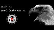 En Büyüksün Kartal (Beşiktaş)
