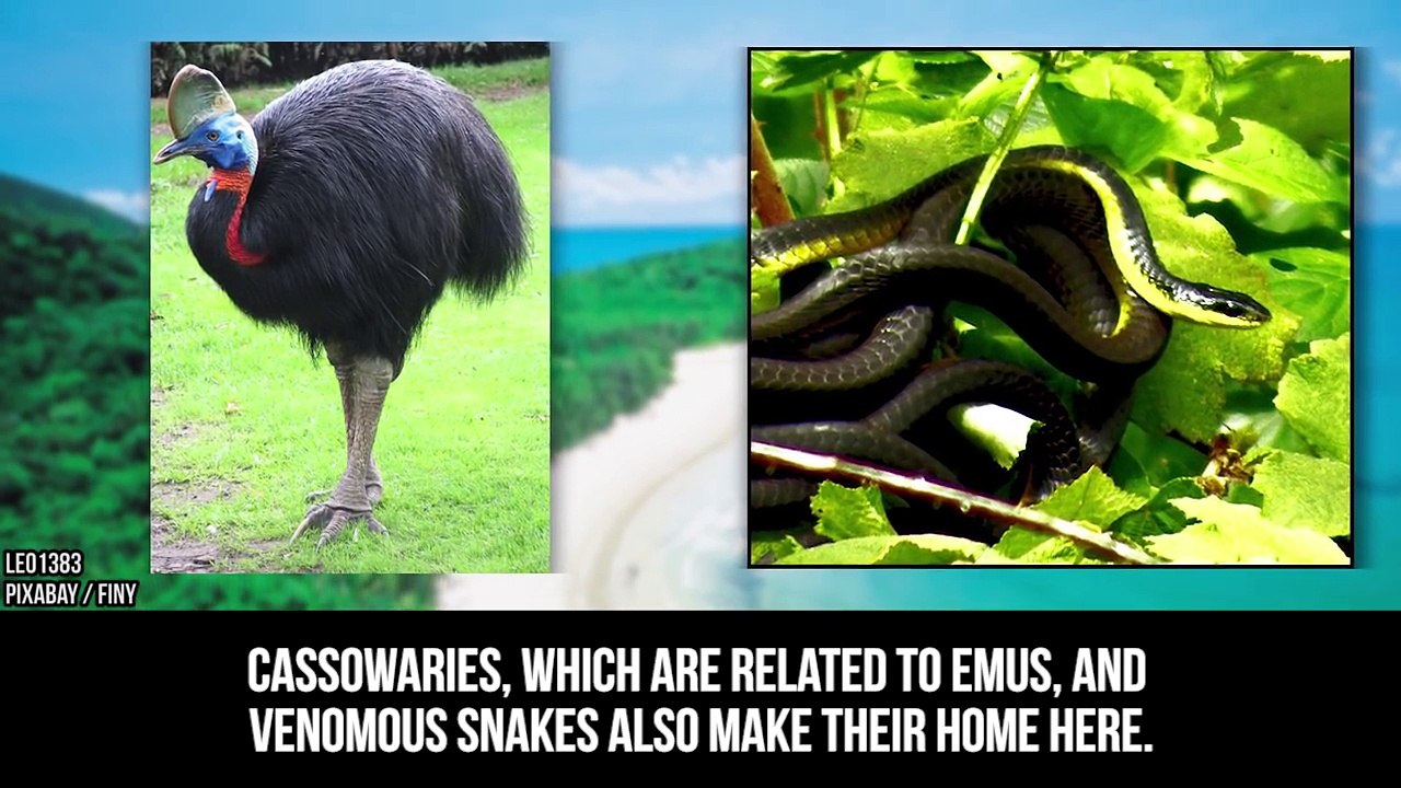 They Were Having A Normal Day At The Beach....But When They Saw This Wave...OMG!