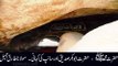Snake Story of Hazrat Muhammad (SAW) & Hazrat Abubakar (RA) Moulana Tariq Jameel Bayyan 2016