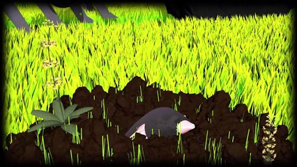 Pestizide (Videografik)