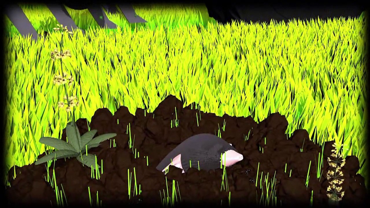 Pestizide (videografik)