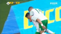 Shane Long Goal HD - Ireland 1-0 Netherlands 27.05.2016