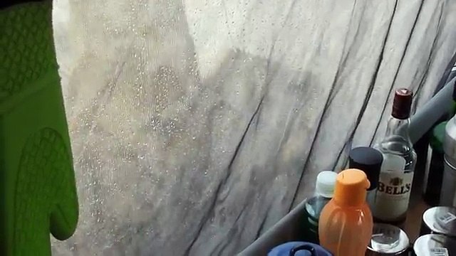 Oci u oci sa lavom - lav lize vodu sa satora