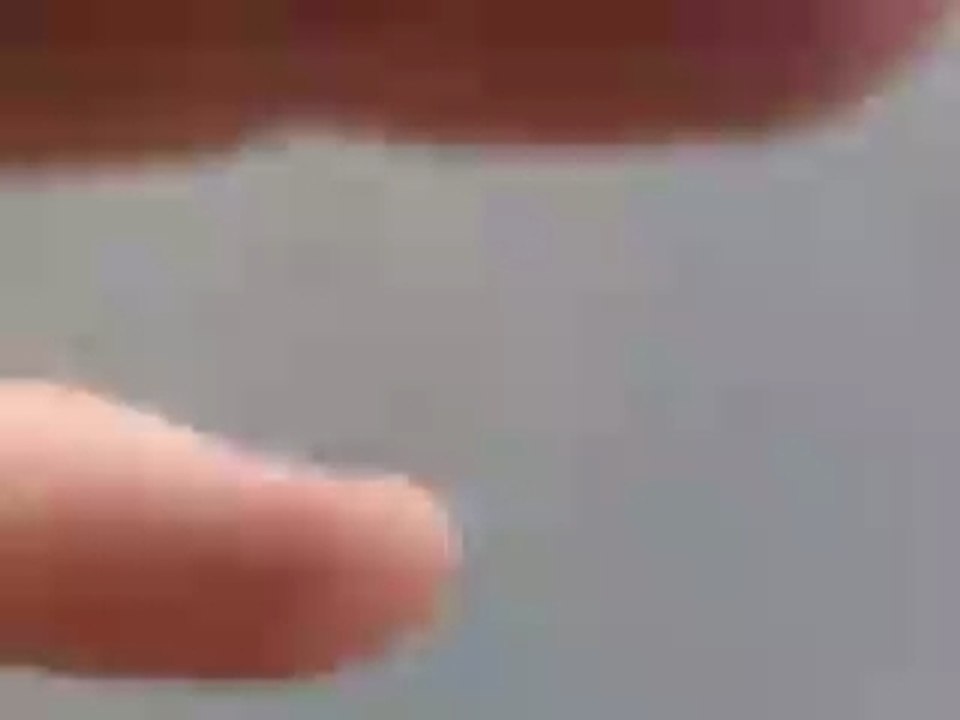 24 H Du Mans Roller 2007