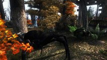 NEW!!! The Elder Scrolls Andoran Prologue INFO: Oblivion Overhaul
