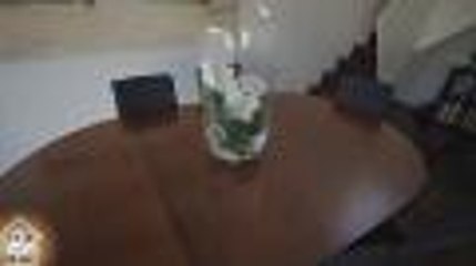 Toit et moi du 31 octobre.